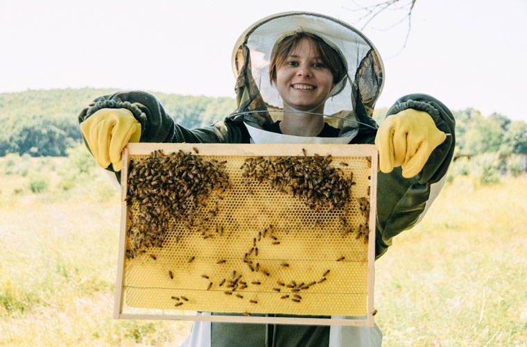 Чему меня научили пчёлы